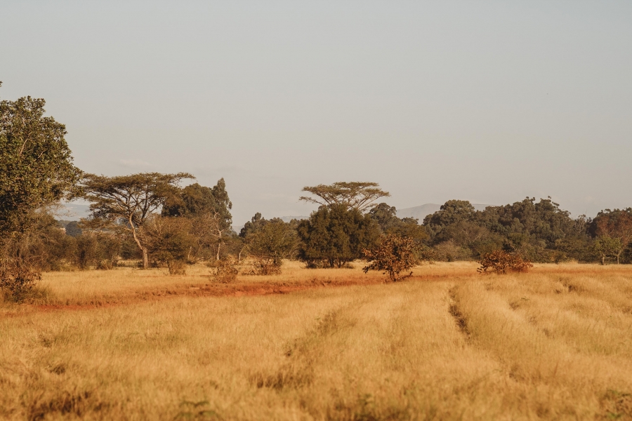 FIH Fotografie » Zuid Afrika